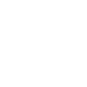 Snowleader